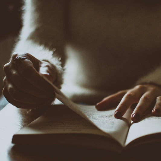 lately reading: a renewed love for for books (and audiobooks!)