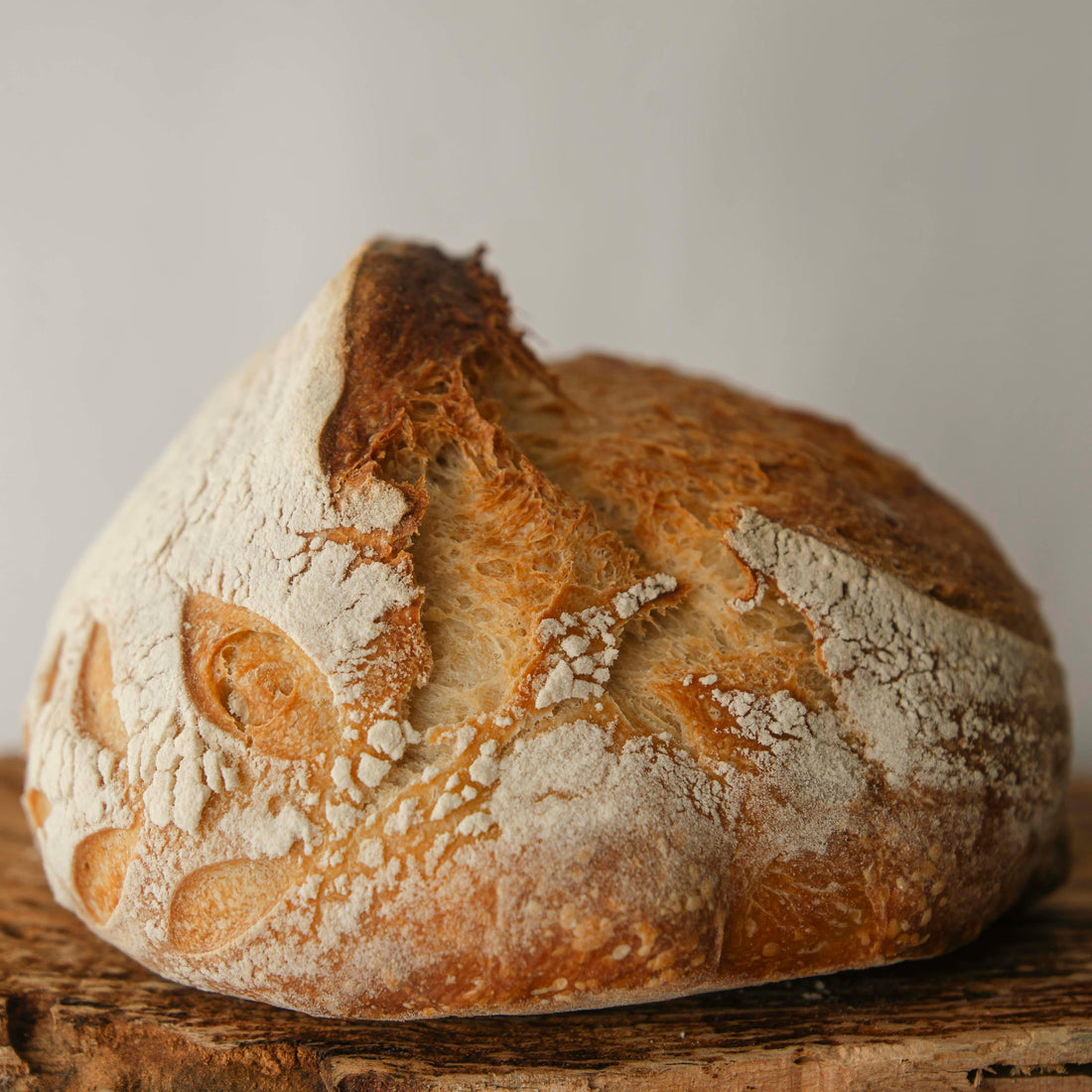 your first loaf of sourdough (yes, you can do this)