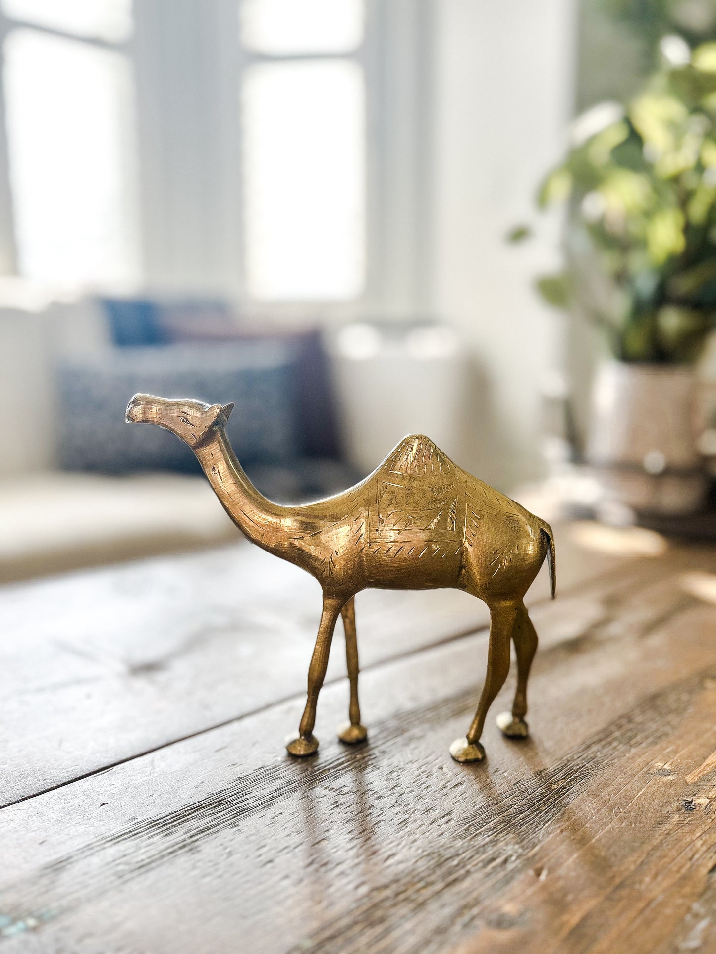 brass camel