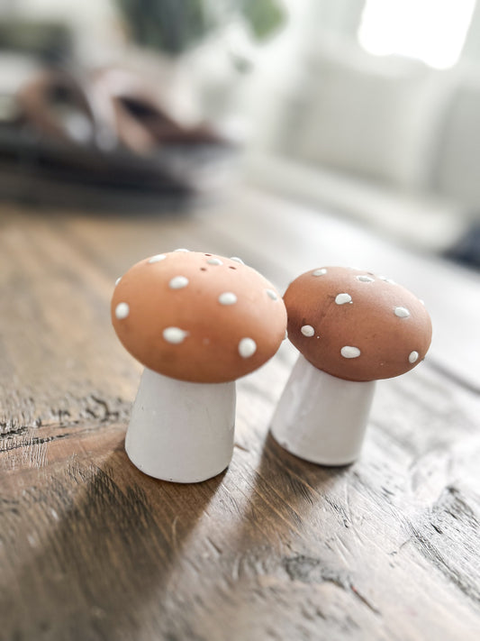 toadstool s&p set